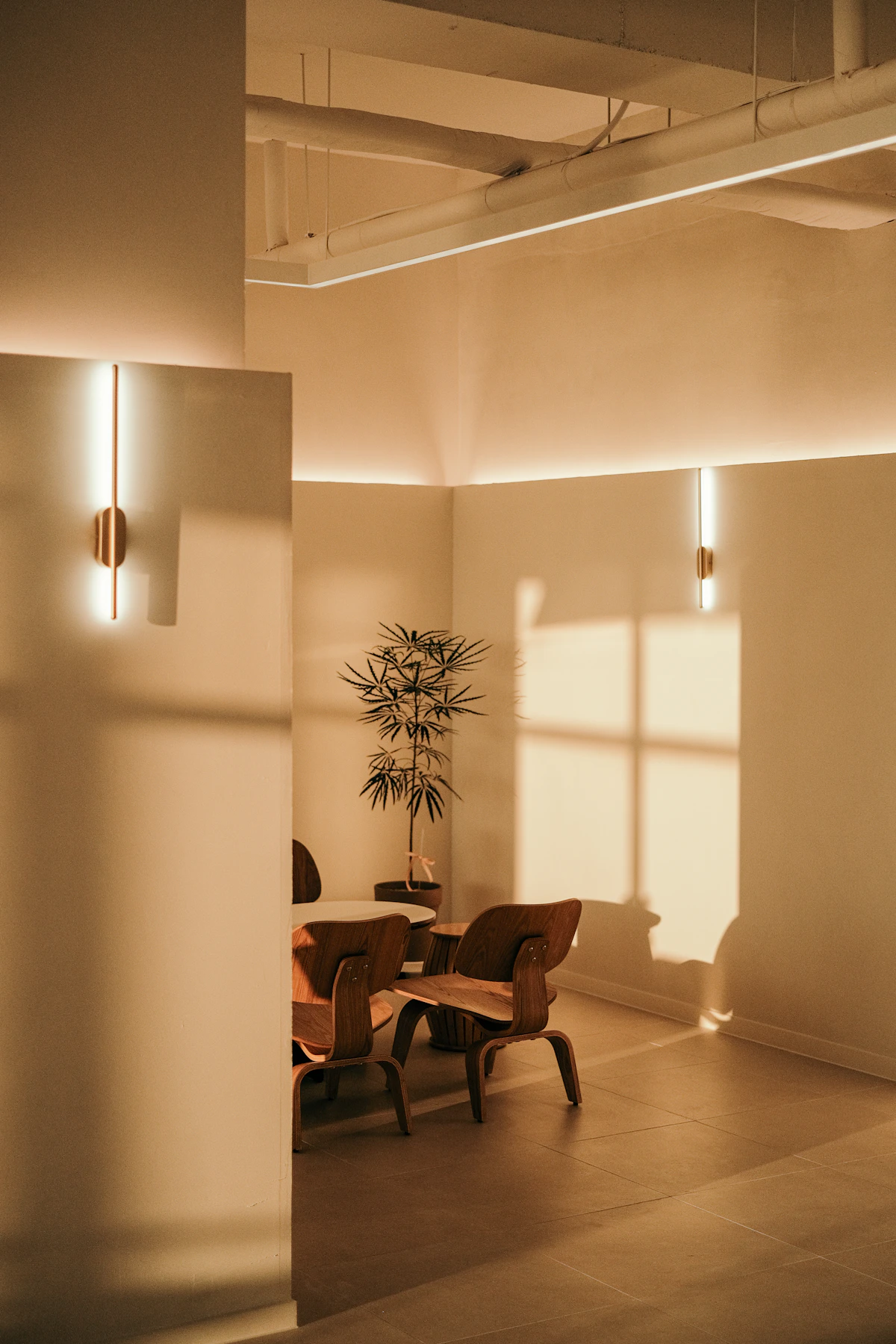 Illustrative office interior, not the Amazing Grace DUI office